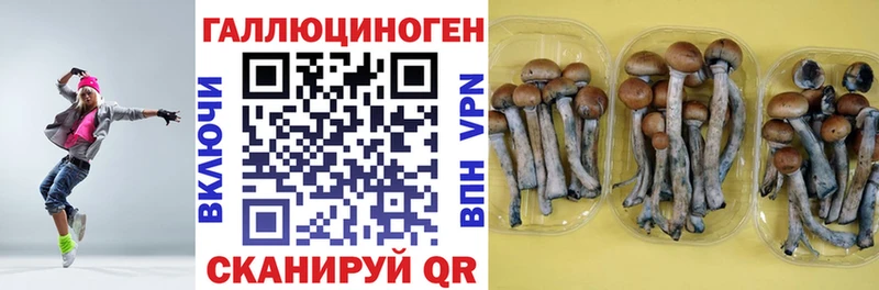 Псилоцибиновые грибы ЛСД  наркошоп  Ишим 