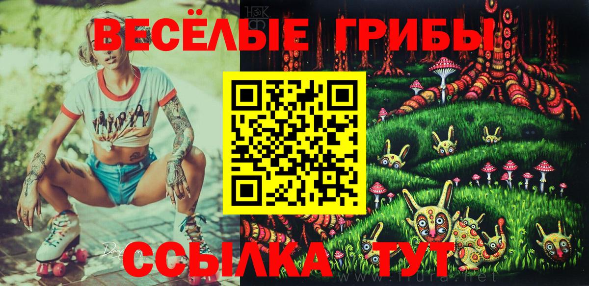 Галлюциногенные грибы мухоморы Ишим