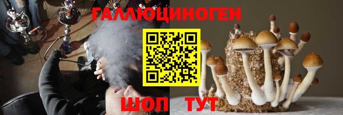 Псилоцибиновые грибы прущие грибы  Вход с VPN  Ишим  Псилоцибиновые грибы мухоморы 