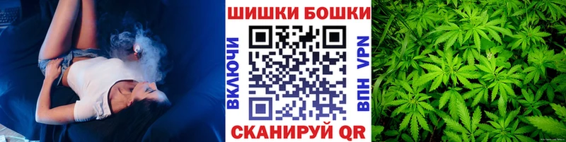 Бошки марихуана сатива  как найти наркотики  Ишим 